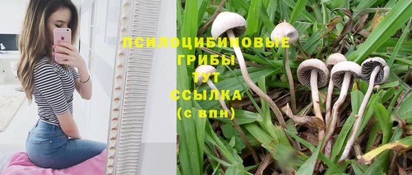 амфетамин Богданович