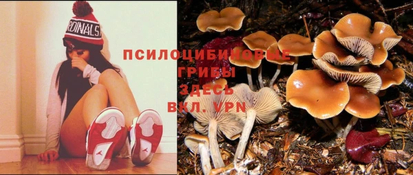 амфетамин Богданович