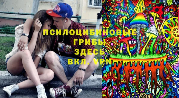 дурь Богородицк